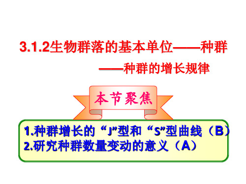 3.1.2种群的增长规律