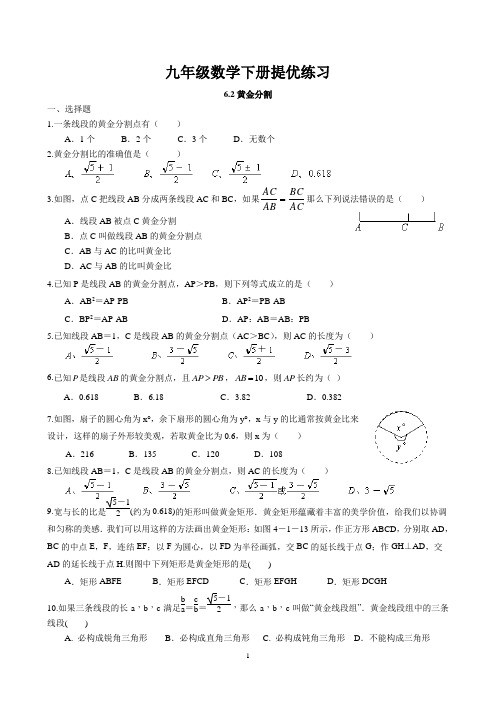 6.2 黄金分割提优练习 2022-2023学年苏科版数学九年级下册