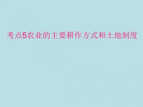 高三历史高频考点总复习课件：考点5农业的主要耕作方式和土地制度