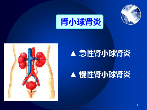 肾小球肾炎患者的护理PPT课件