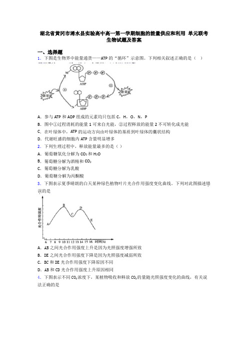 湖北省黄冈市浠水县实验高中高一第一学期细胞的能量供应和利用 单元联考生物试题及答案