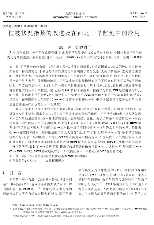 植被状况指数的改进及在西北干旱监测中的应用