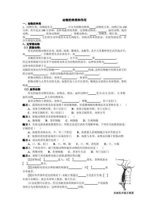 动物的种类和作用详解