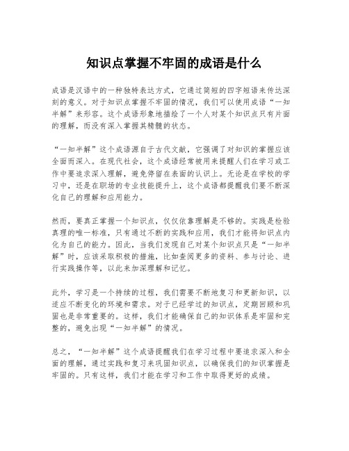 知识点掌握不牢固的成语是什么