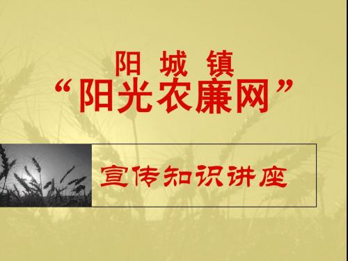 阳城镇“阳光农廉网”知识讲座