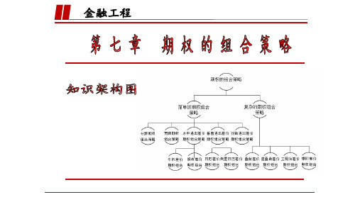 期权的组合策略