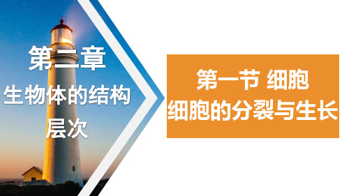 1.2.1 细胞——细胞的生长与分裂课件(共25张PPT+内嵌视频3个) 冀少版生物七年级上册