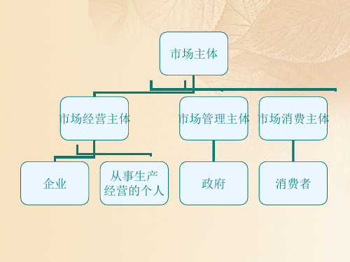 第六章市场经营主体的监督管理