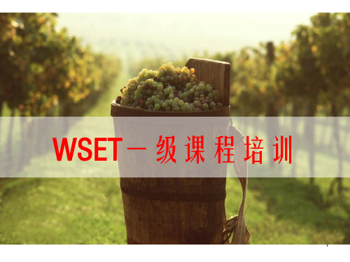 WSET初级教学-文档资料