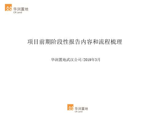 华润置地武汉公司2008年3月项目前期阶段性报告内容与流程梳理