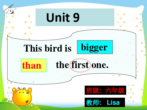 六年级英语上册Unit9Thisbirdisbiggerthanfistone...课件2湘少版