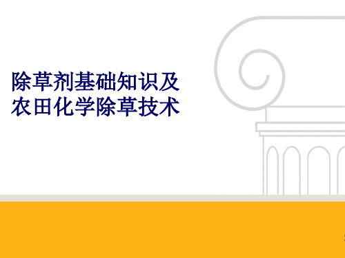 2 除草剂基础知识及化学除草技术【2024版】