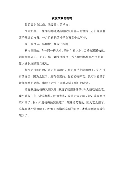 我爱故乡的杨梅