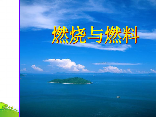 鲁教版九年级上册化学 6.1 燃烧与灭火 课件 (共25张PPT)