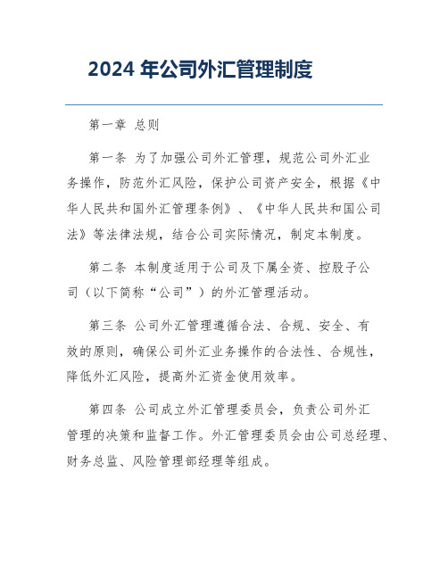 2024年公司外汇管理制度