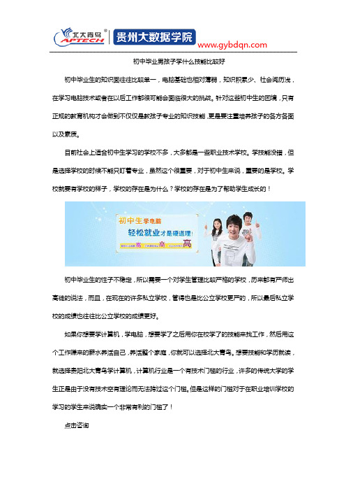 初中毕业男孩子学什么技能比较好