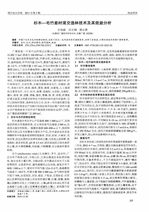 杉木—毛竹差时混交造林技术及其效益分析