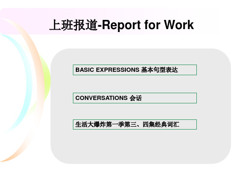 生活大爆炸知识点