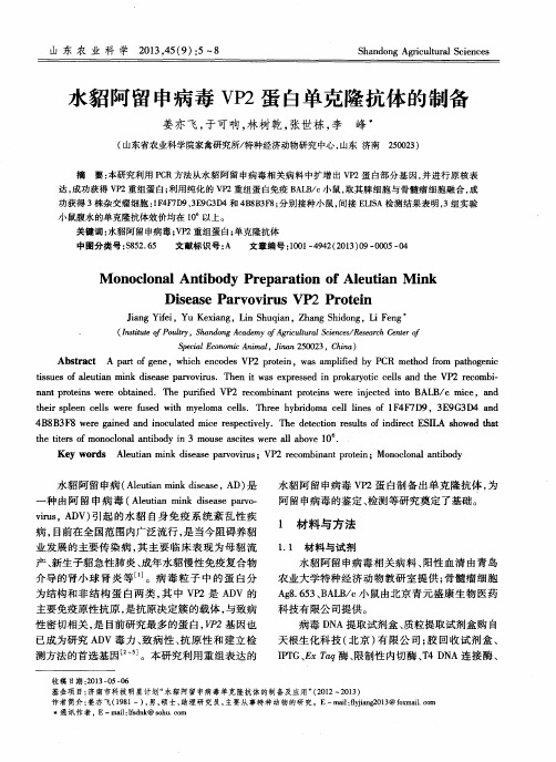 水貂阿留申病毒VP2蛋白单克隆抗体的制备