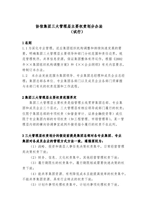 某集团三大管理层主要权责划分办法(20页)