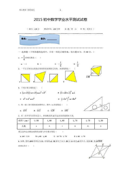 2015年初中数学中考试卷