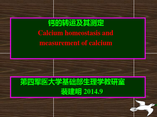 钙转运及其机制讲解