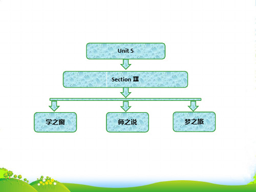 高中英语人教版选修9课件：Unit+5+Section+Ⅲ+Using+Language