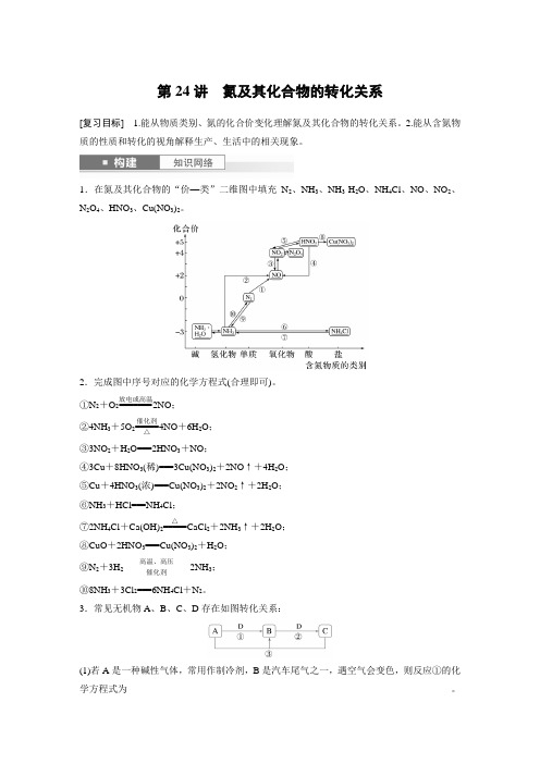 第5章第24讲氮及其化合物的转化关系2025年高考化学一轮复习讲义(新人教版)