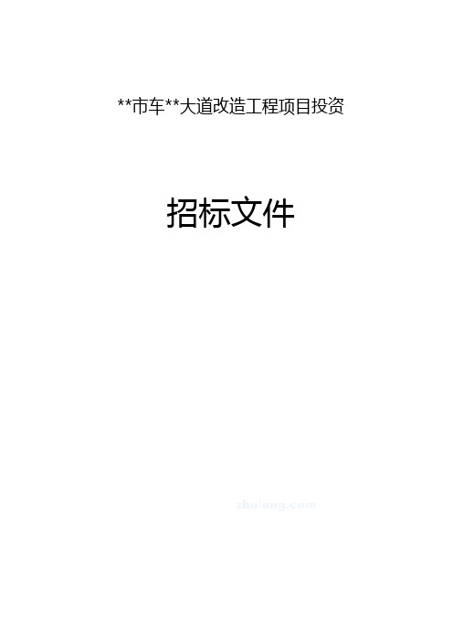 大道改造工程项目投资招标文件bt项目.doc