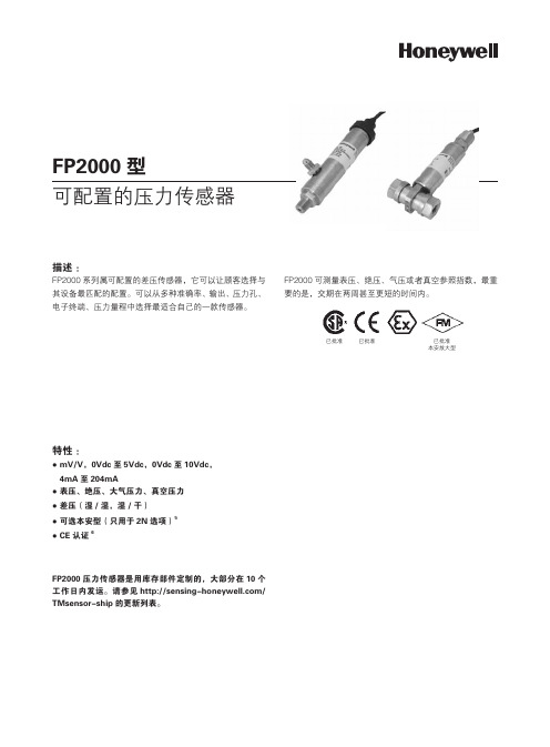 FP2000型可配置的压力传感器