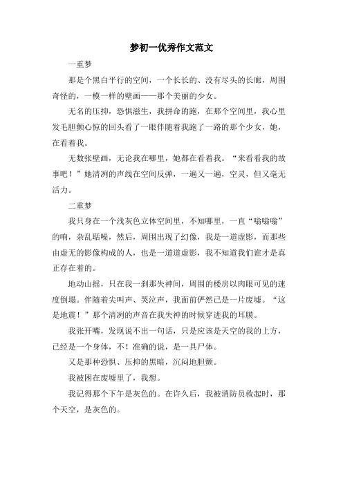梦初一优秀作文范文