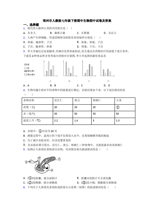 郑州市人教版七年级下册期中生物期中试卷及答案