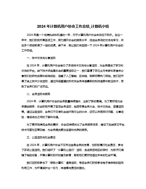 2024年计算机用户协会工作总结_计算机小结