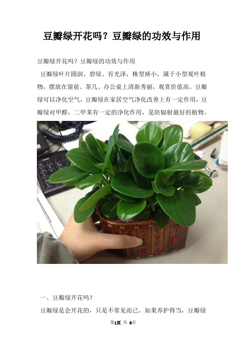 豆瓣绿开花吗？豆瓣绿的功效与作用