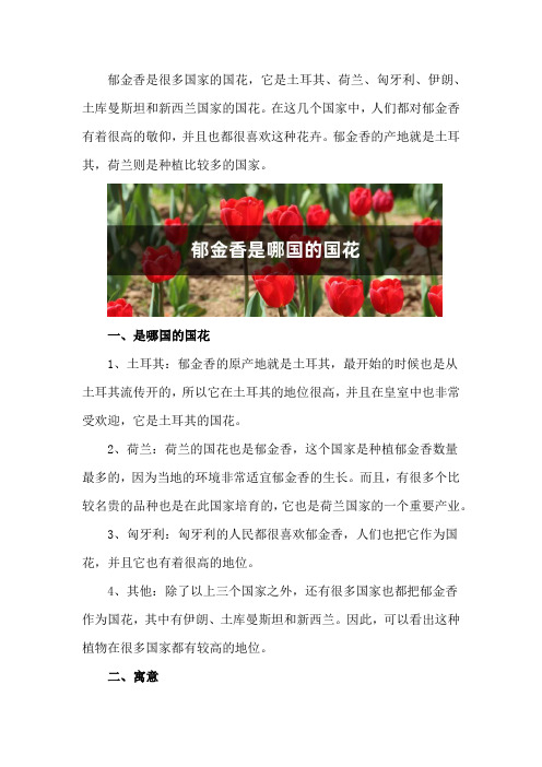 郁金香是哪国的国花,有什么寓意