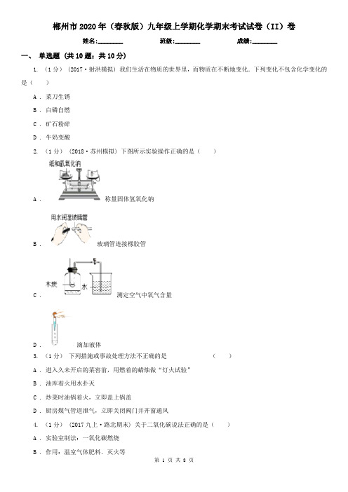 郴州市2020年(春秋版)九年级上学期化学期末考试试卷(II)卷(模拟)