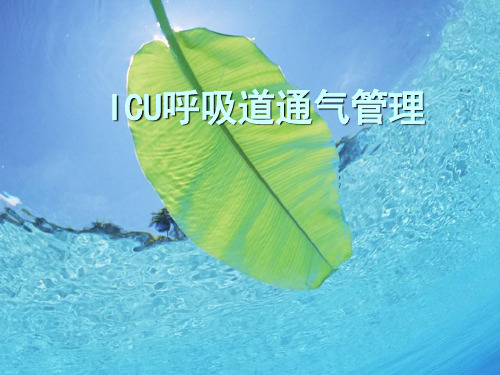 ICU呼吸道通气管理