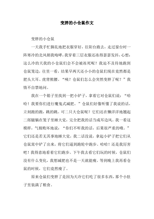 变胖的小仓鼠作文