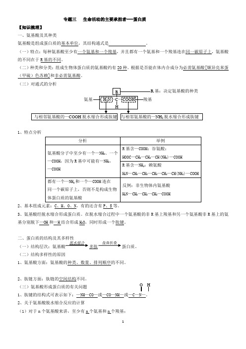 专题03   蛋白质