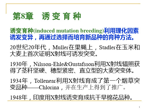 诱变育种的特点课件.ppt