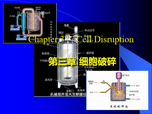 暨南大学徐明芳-第三章细胞的破碎和分离_20...