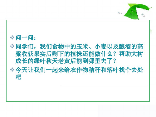 综合实践活动七年级 教科版给秸秆和落叶找去处 课件(共15张ppt)  2021-2022学年上学期