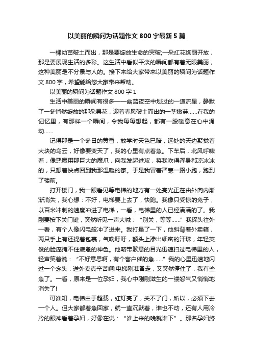 以美丽的瞬间为话题作文800字最新5篇