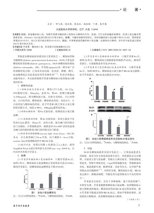 芹菜素对糖尿病小鼠肠动力障碍的调节作用研究