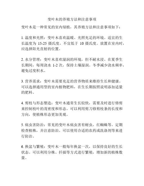 变叶木的养殖方法和注意事项