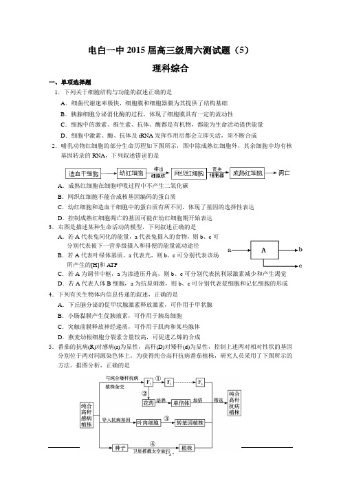 广东省茂名市电白区第一中学2015届高三级周六测试题理综(5) Word版含答案