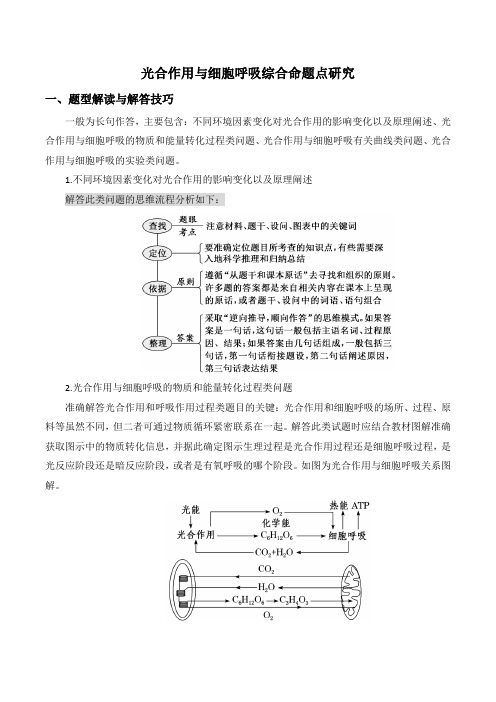 01 光合作用与细胞呼吸综合命题点研究-瞄准高考生物热点题型(解析版)