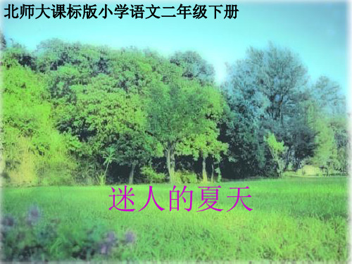 【北师大】二年级下册《迷人的夏天》教学课件.ppt