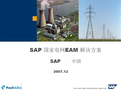 SAP_电力行业_国家电网_EAM_解决方案