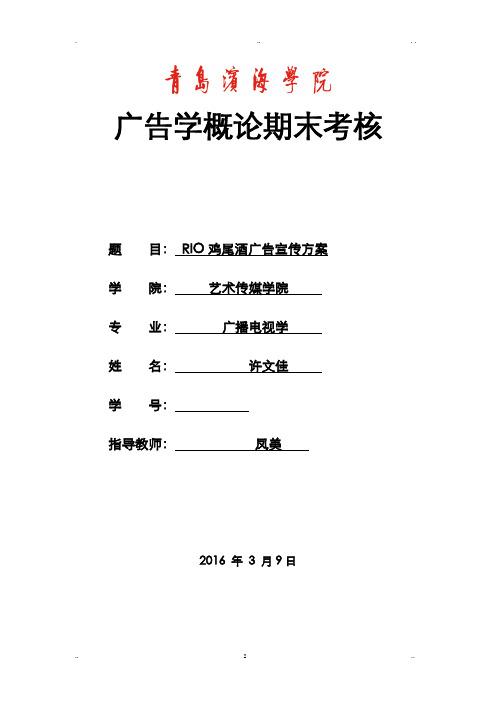 RIO鸡尾酒广告宣传方案